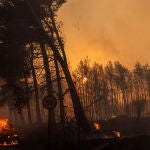 Grecia.- El avance de los incendios a las puertas de Atenas obliga a evacuar varias localidades