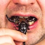 Comer insectos