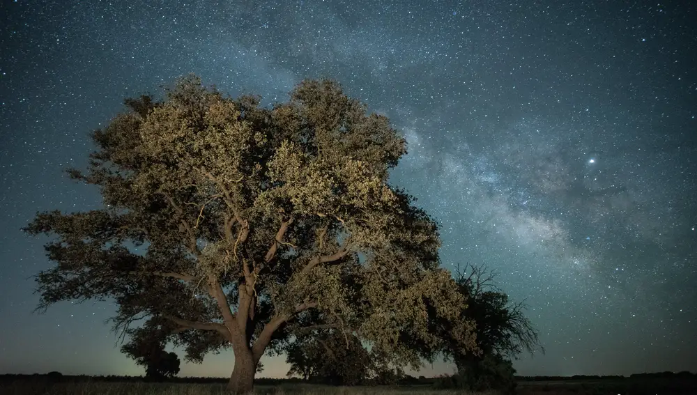 Socuéllamos bajo las estrellas
