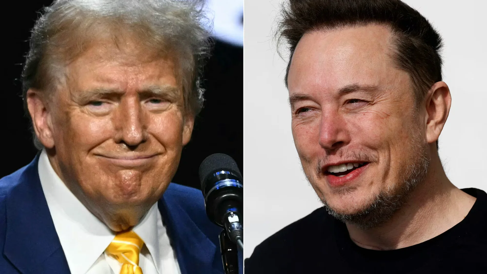 Donald Trump y Elon Musk, en imágenes de archivo