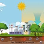 El calentamiento global agrava la contaminación del suelo por mercurio