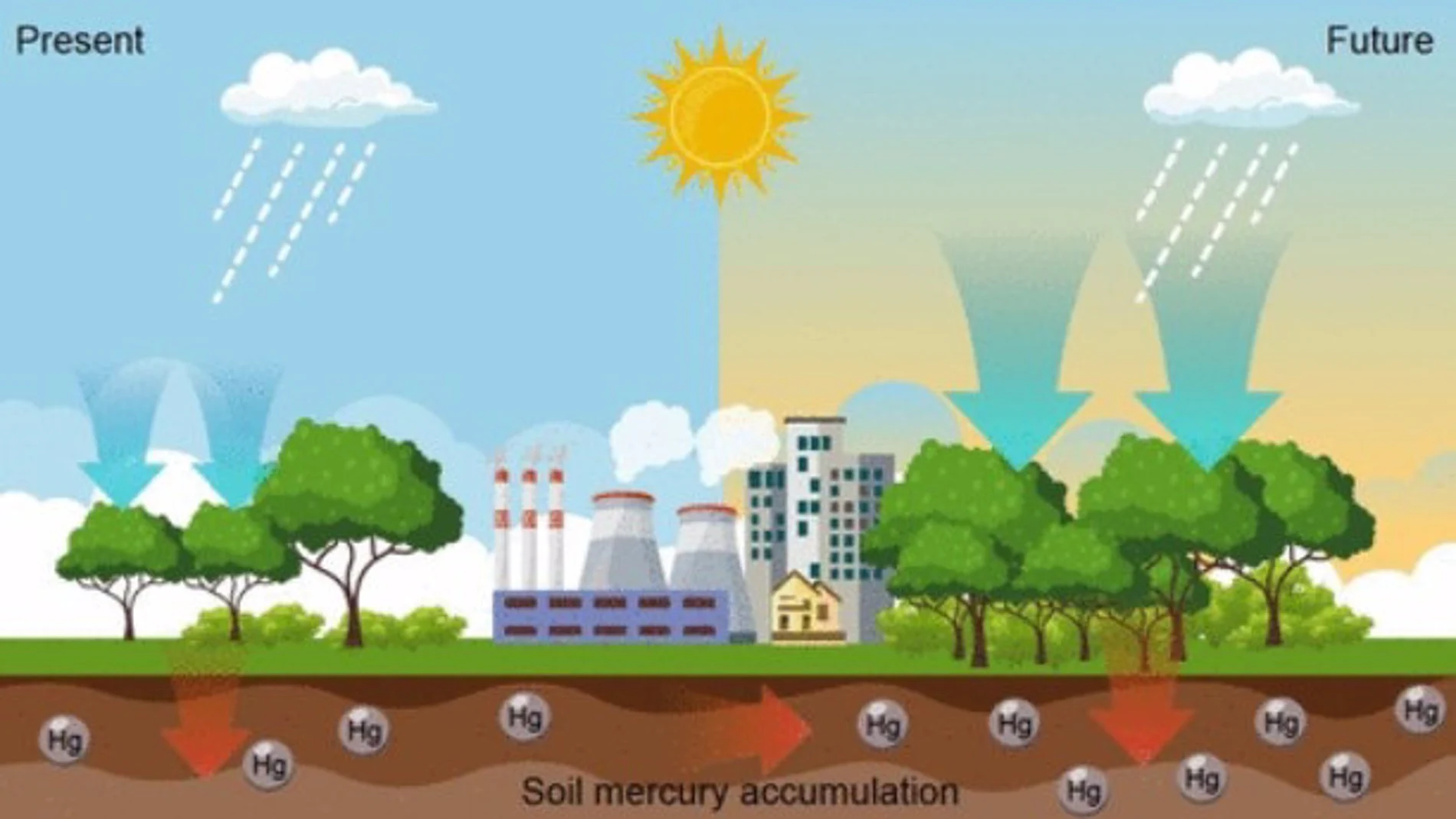 El calentamiento global agrava la contaminación del suelo por mercurio
