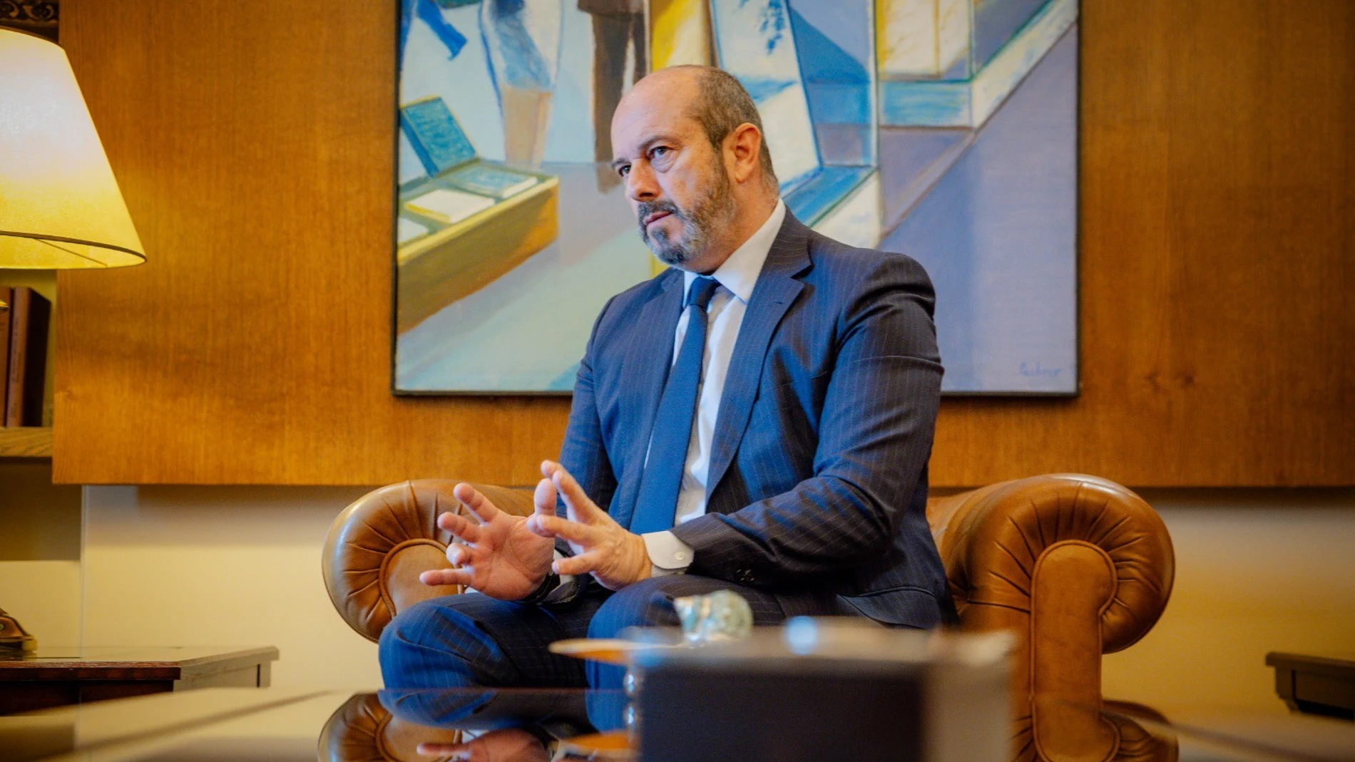 El presidente del Senado, Pedro Rollán.