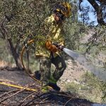 Controlado el incendio forestal declarado el martes en la zona de Peña Escrita, en Almuñécar (Granada)