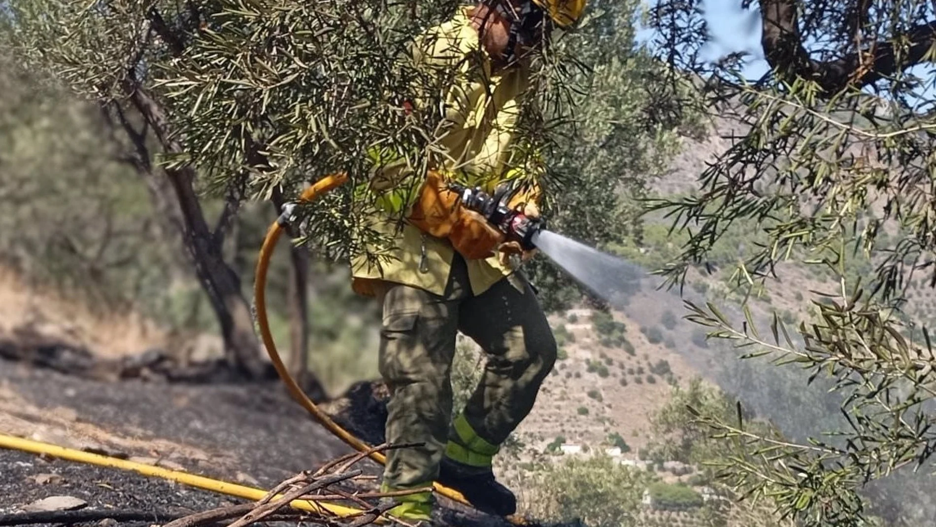 Controlado el incendio forestal declarado el martes en la zona de Peña Escrita, en Almuñécar (Granada)