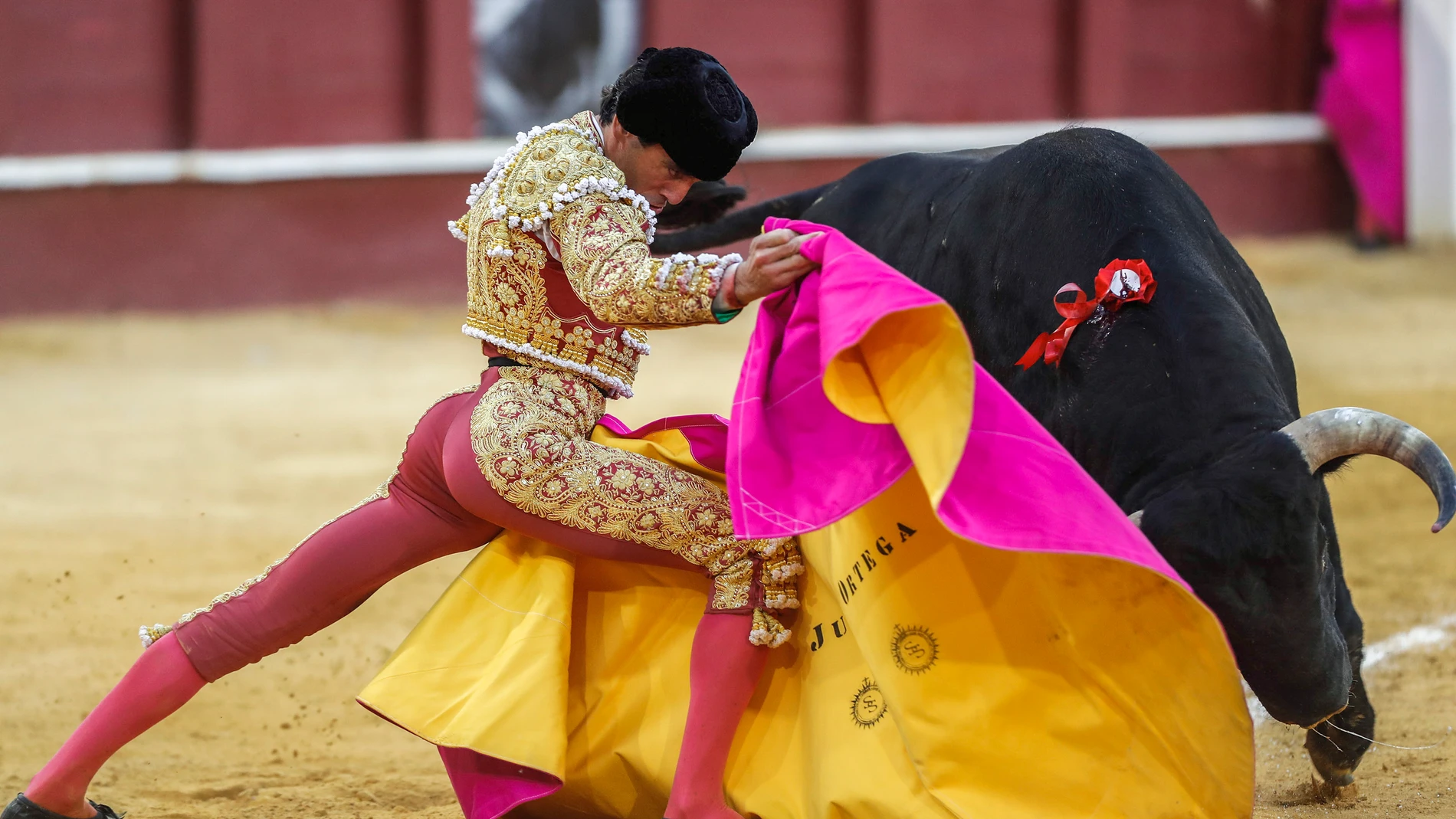 MÁLAGA, 16/08/2024.- El diestro Juan Ortega con su segundo toro, al que ha cortado una oreja, en la Plaza de toros de La Malagueta, Málaga, este viernes en la tercera de la Feria de Málaga 2024, con toros de J. Pedro Domecq . EFE/ Jorge Zapata