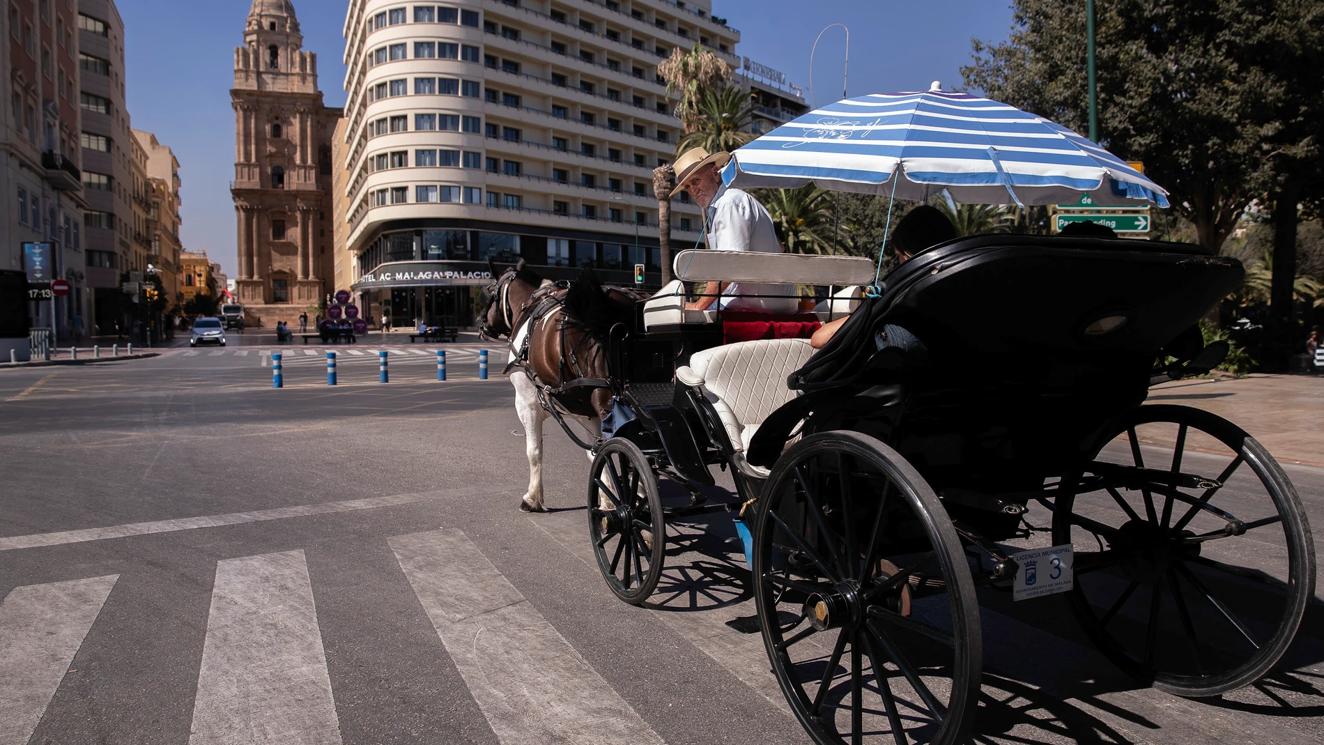 Un coche de caballos en Málaga el año pasado