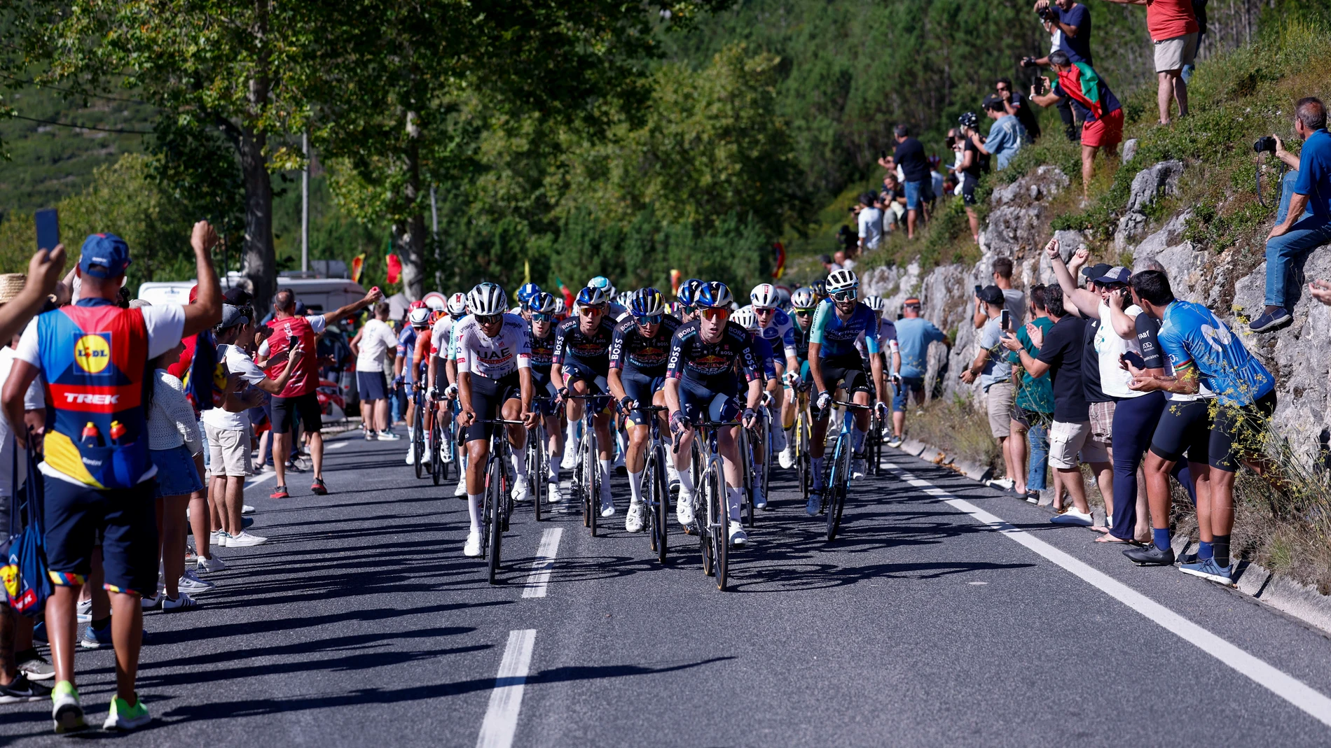 OUREM (PORTUGAL), 18/08/2024.- El pelotón ciclista durante la segunda etapa de la Vuelta a España, este domingo entre las localidades de Cascais y Ourem (Portugal). EFE/Javier Lizón