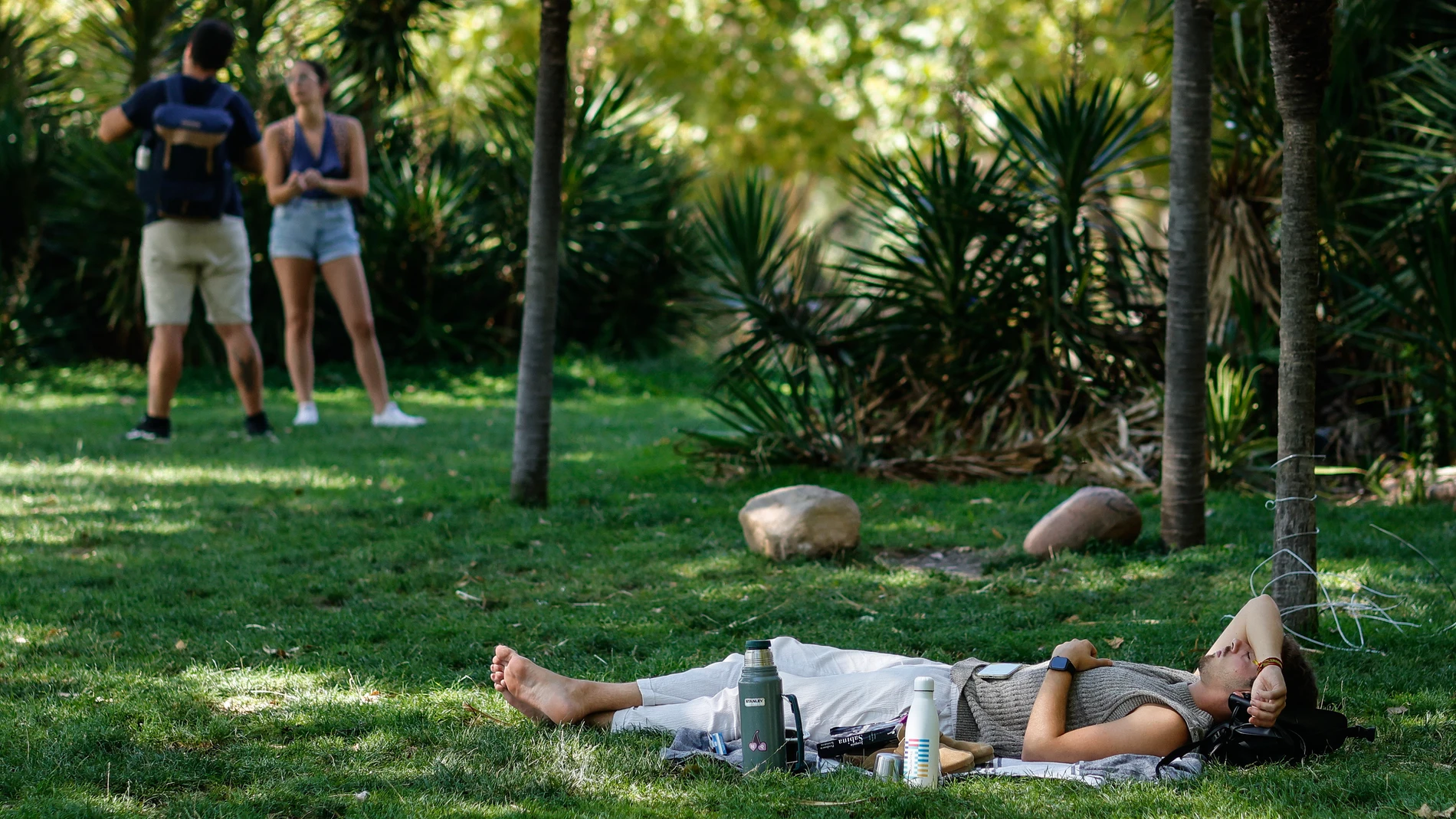 Cualquier sombra es apetecible para escapar del calor