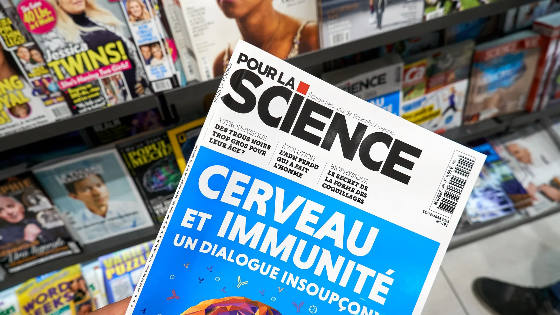 Revista Pour La Science