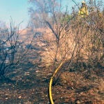 El incendio forestal en la Sierra de Andújar afecta a más de 700 hectáreas