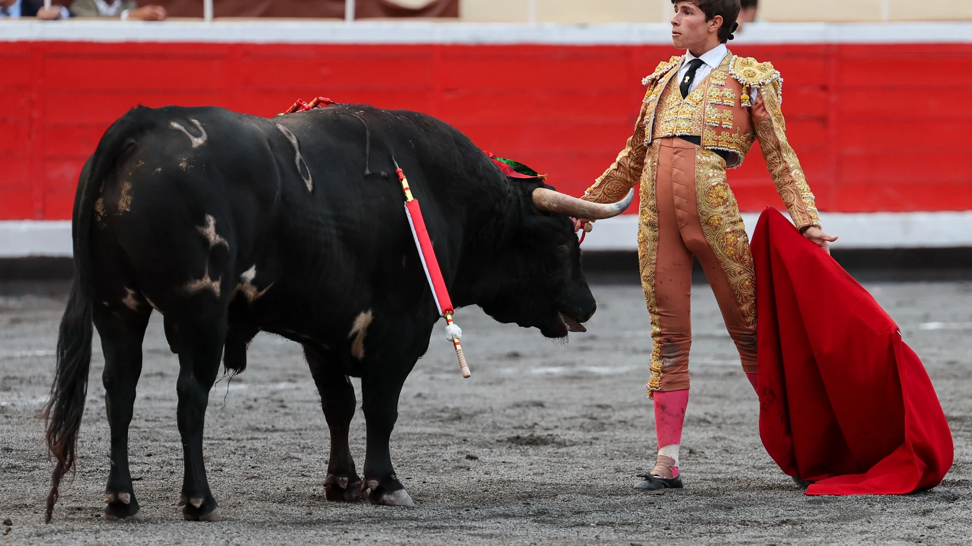BILBAO, 19/08/2024.- El novillero zaragozano Aarón Palacio durante una novillada con picadores de la segunda de las Corridas Generales en la plaza de toros de Bilbao, este lunes. EFE/ Luis Tejido