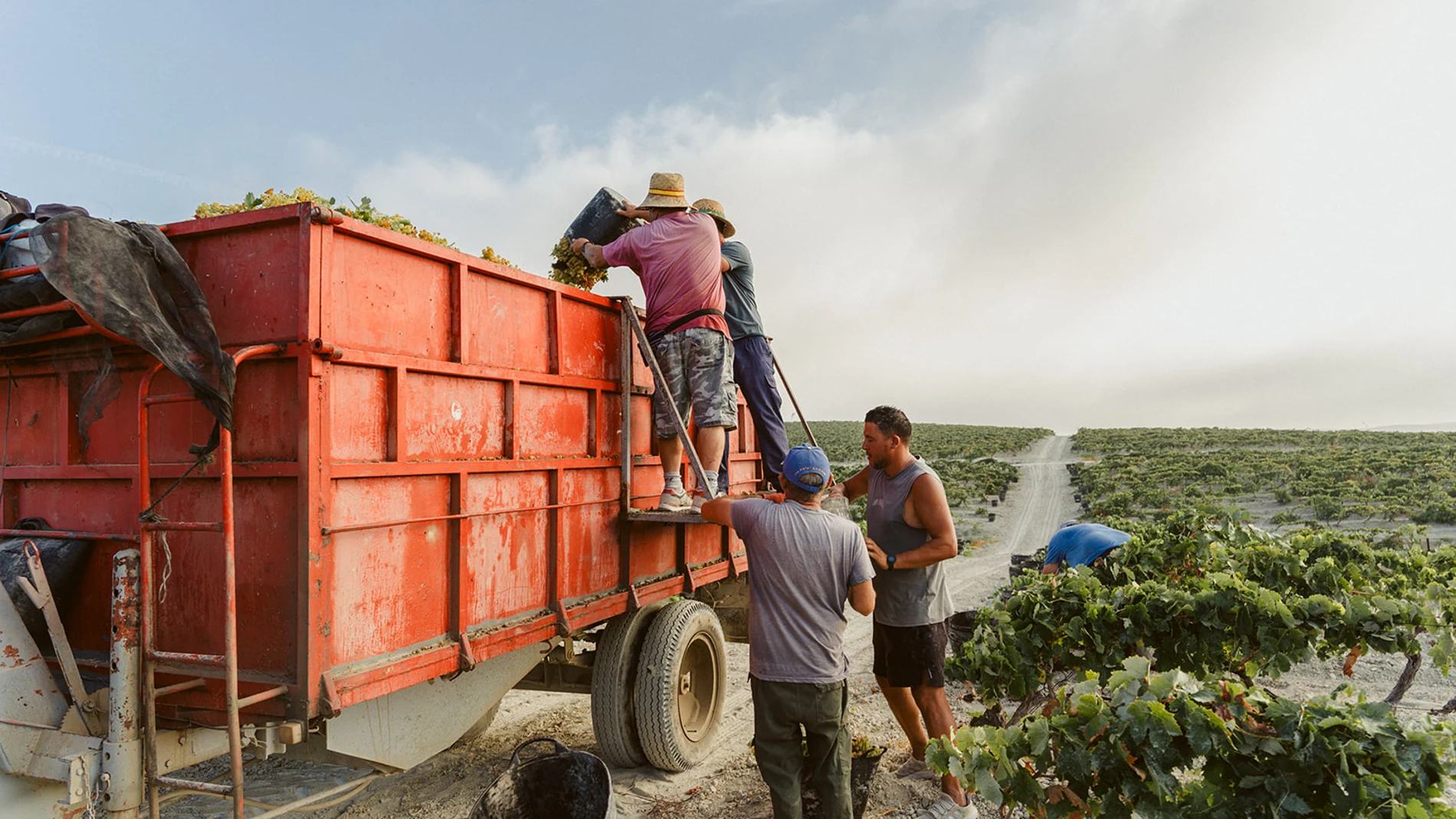 En pleno trabajo de campo