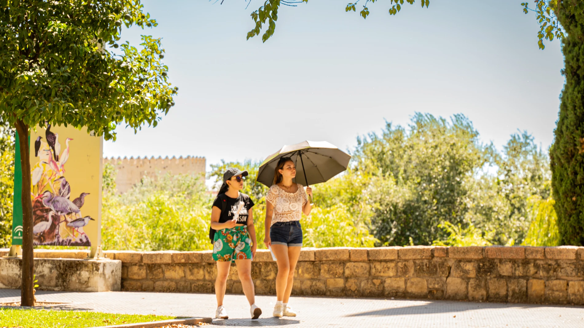 Turistas y cordobeses se resguardan del sol para hacer frente a las altas temperaturas registradas en Córdoba, a 19 de agosto de 2024 en Córdoba (Andalucía, España). La Agencia Estatal de Meteorología (Aemet) ha activado la alerta amarilla por calor para este lunes en las provincias andaluzas de Córdoba, Huelva, Jaén y Sevilla, por temperaturas máximas que podrán alcanzar los 40 grados. El pasado domingo, un total de 34 estaciones igualaron o superaron los 40ºC en Andalucía, según la informa...