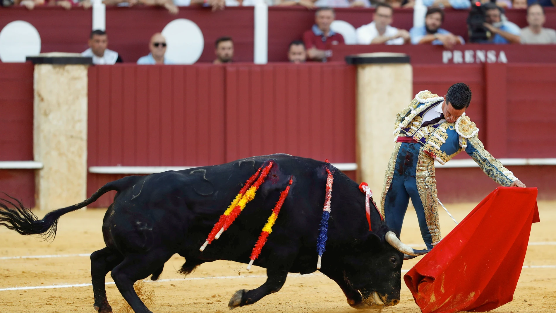 MÁLAGA, 19/08/2024.- El torero David Galán da un pase con la muleta al segundo de los de su lote, al que ha cortado una oreja, durante la sexta de la Feria de Málaga celebrada este lunes en la plaza de toros de La Malagueta. EFE/Jorge Zapata El torero Ginés Marín con su primer toro, al que ha cortado una oreja en la Plaza de toros de La Malagueta, Málaga, la sexta de la Feria de Málaga 2024, con toros de Laguna Janda EFE/ Jorge Zapata