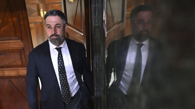 El líder de Vox, Santiago Abascal, en un pleno del Congreso. 
