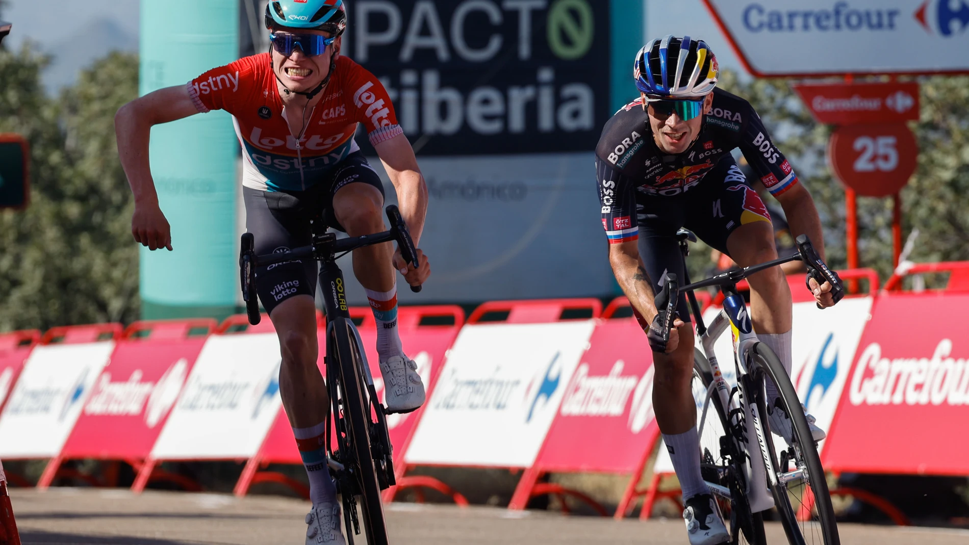 PICO VILLUERCAS (CÁCERES), 20/08/2024.- El ciclista esloveno del Bora Primoz Roglic (d) se impone al belga Lennert Van Eetvelt (Lotto) y se adjudica la cuarta etapa de la Vuelta a España este martes entre Plasencia y el Pico Villuercas, con 170,5 kilómetros de recorrido. EFE/ Javier Lizón