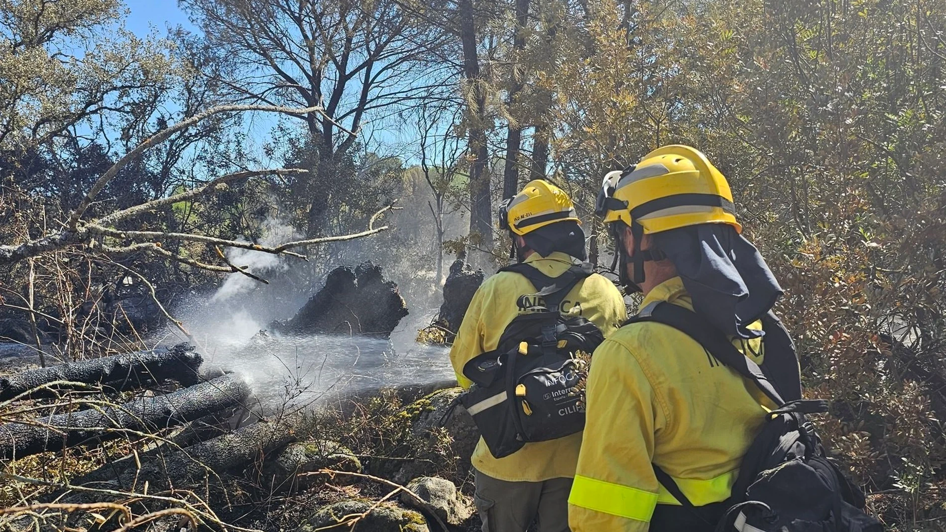 Bomberos forestales trabajan en un incendio en la Sierra de Andújar