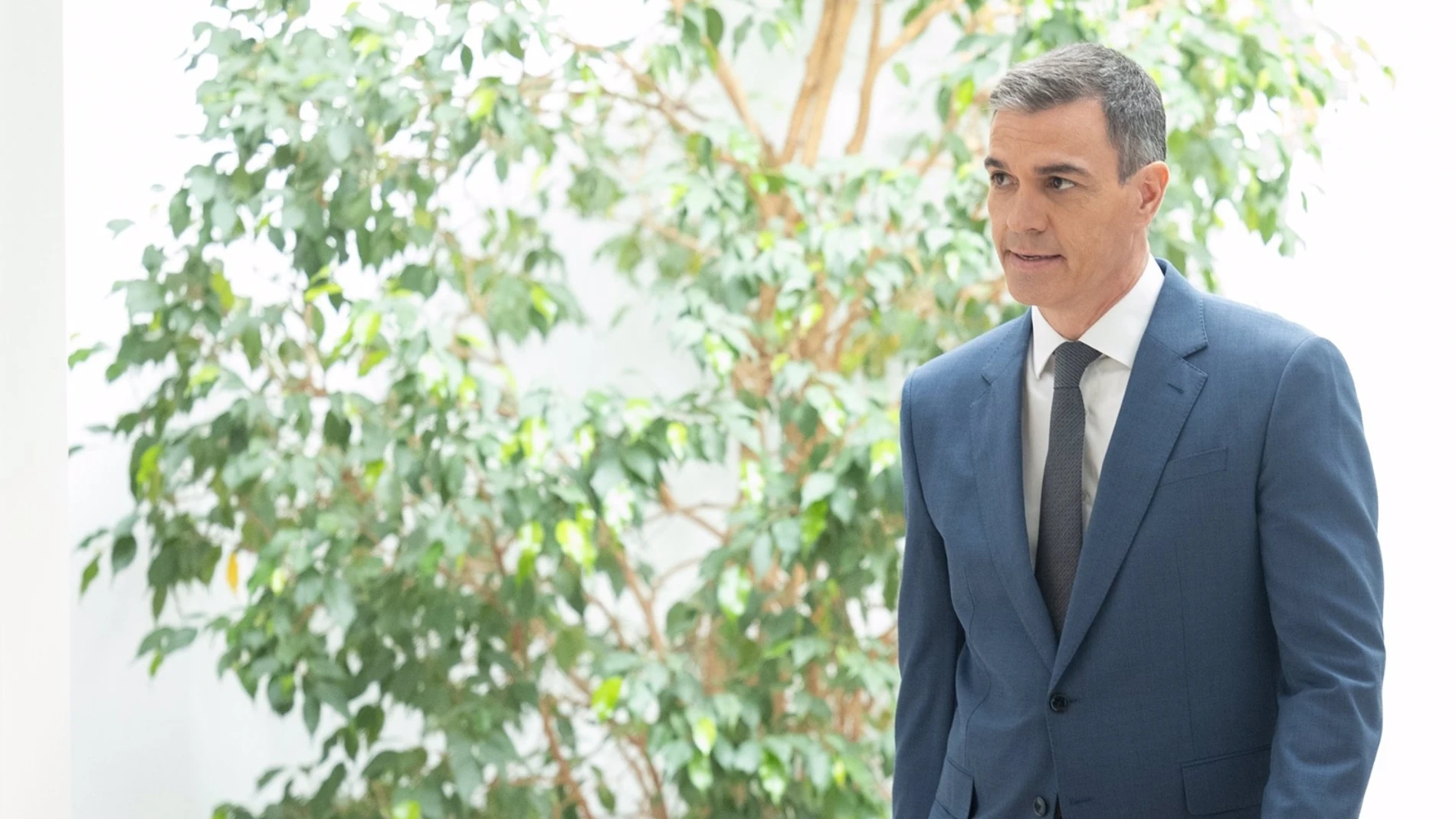 Pedro Sánchez