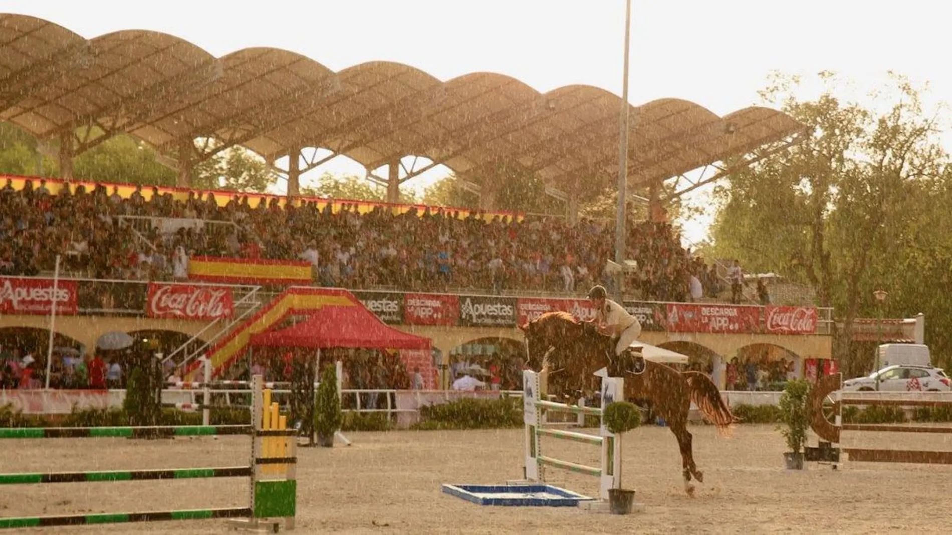 Concurso Nacional de Salto de Cuenca