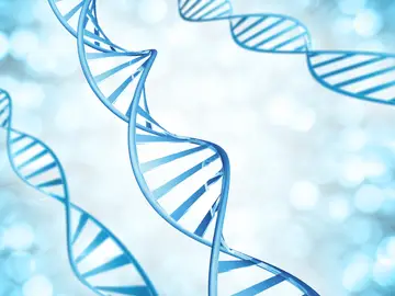Hebras genéticas de moléculas de ADN magnificadas. Conceptualización 3D de cadenas de ADN bajo un microscopio. Hebras genéticas de moléculas de ADN magnificadas. Conceptualización 3D de cadenas de ADN bajo un microscopio.