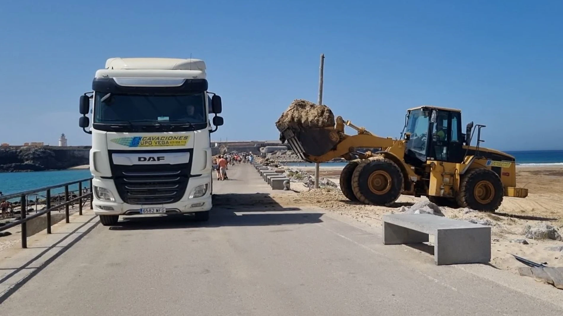 Operarios municipales retirando con camiones las algas acumuladas en las playas de Tarifa