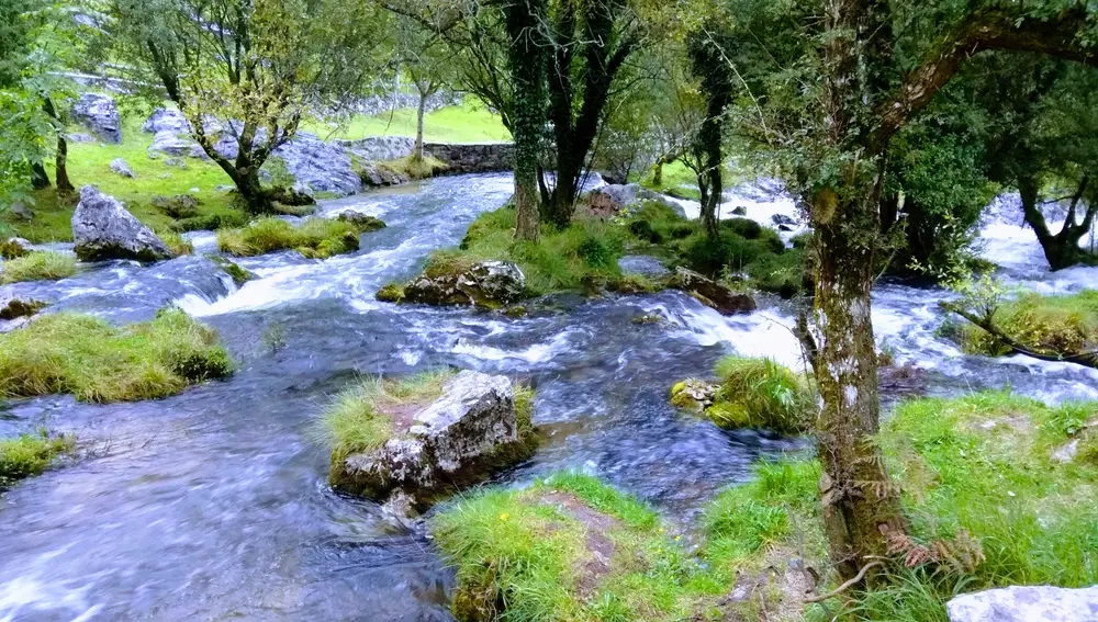 Nacimiento del río Gándara