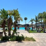 Cierra una piscina municipal en Alaquàs (Valencia) por la aparición de excrementos
