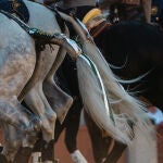 ¿Quiénes son los rejoneadores que torearán esta tarde en Las Ventas?