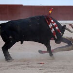Miguel de Pablo y Francisco de Manuel triunfan y resultan heridos en el arranque de Colmenar
