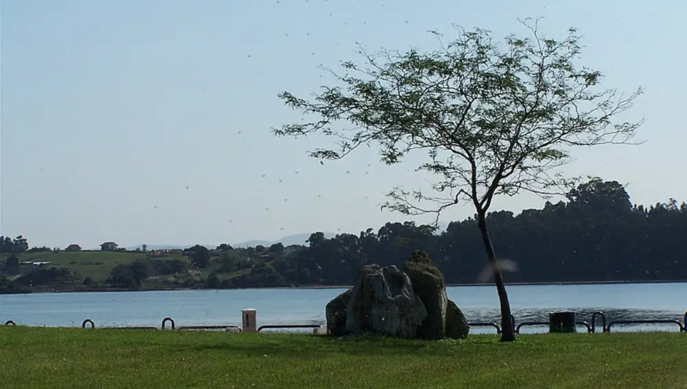 Playa de La Punta Parayas