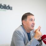 Otegi llama al bloque de apoyo al Gobierno a un pacto por la plurinacionalidad y un modelo de financiación alternativo