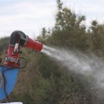 Actuación contra el mosquito del virus del Nilo