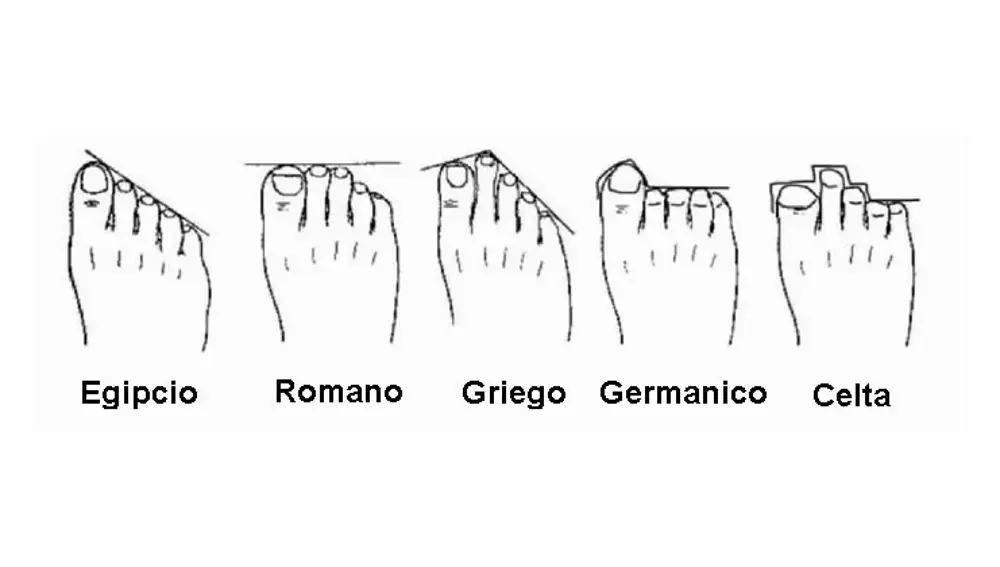 Origen genético en función de la forma de los pies