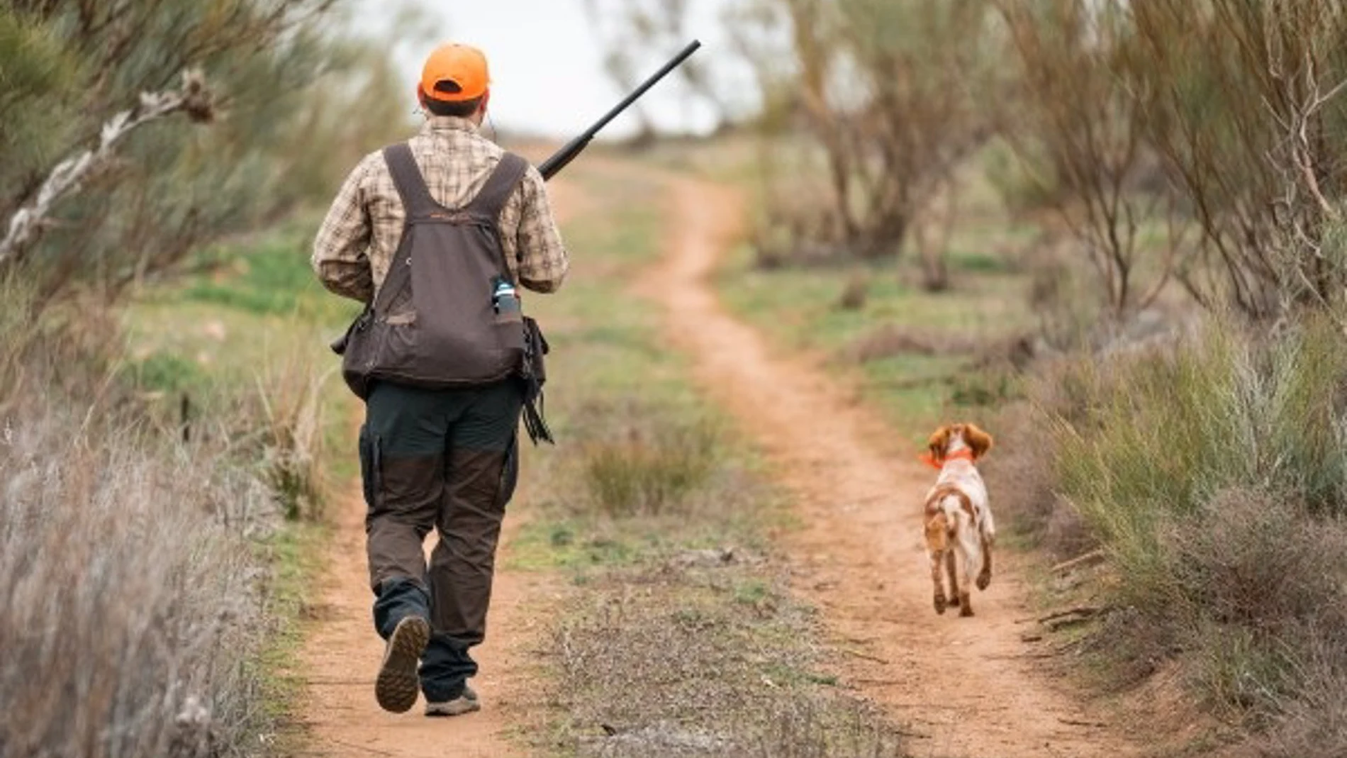 Un cazador en el campo con un perro