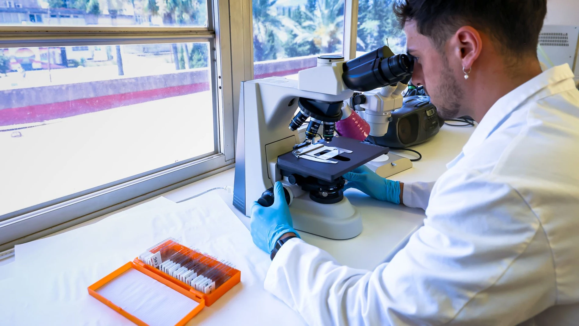 Los científicos trabajarán para la Asociación Española contra el Cáncer