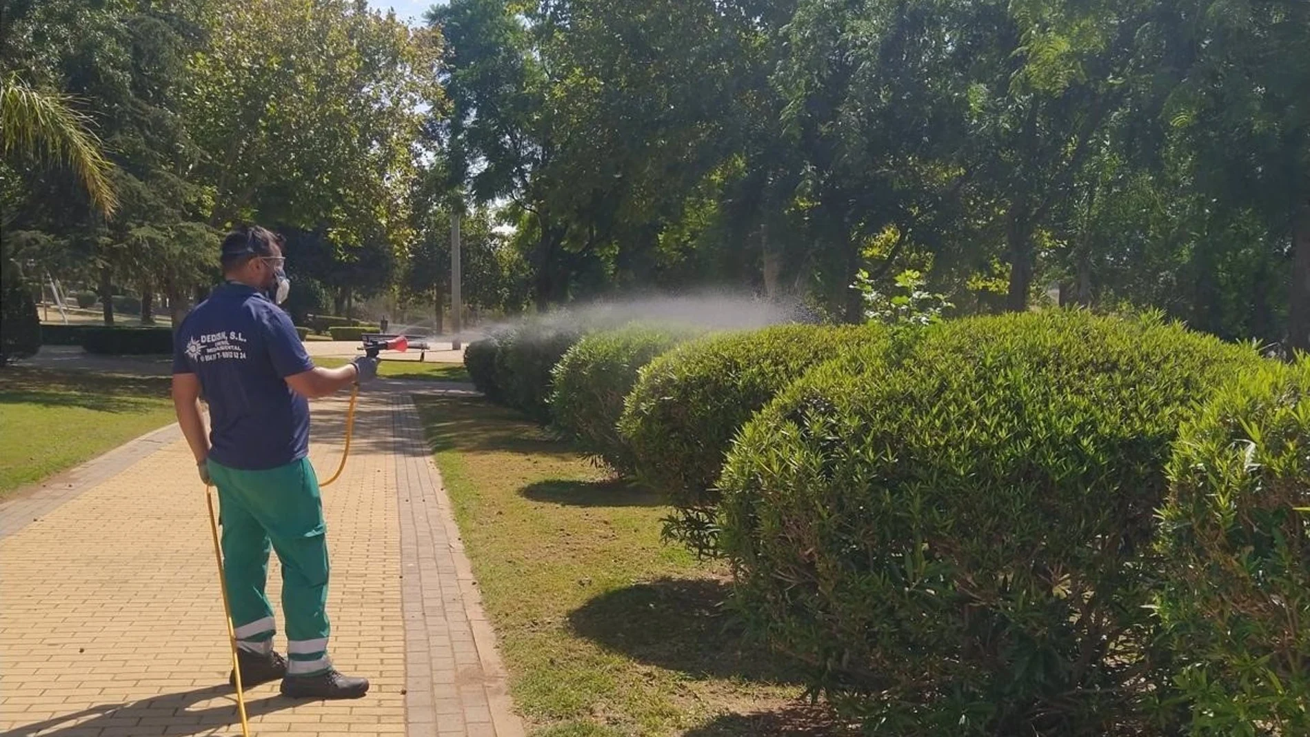 Fumigación contra los mosquitos del virus del Nilo