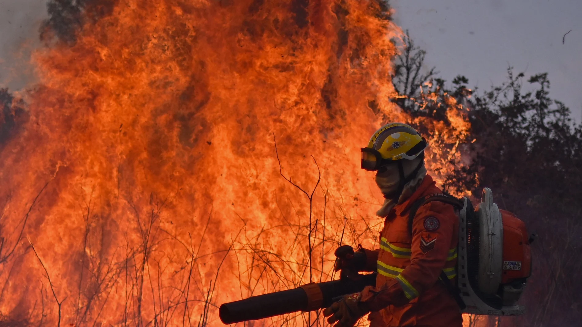 Un brigadista del Instituto Brasilia Ambiental (IBRAM) trabaja en la extinción de un incendio forestal en el Parque Ecológico Burle Marx, este martes en Brasilia (Brasil). Un juez de la Corte Suprema de Brasil ordenó este martes al Gobierno de Luiz Inácio Lula da Silva destinar, en un plazo de 15 días, el "mayor contingente" de militares y policías para combatir la ola de incendios en el Pantanal y la Amazonia.