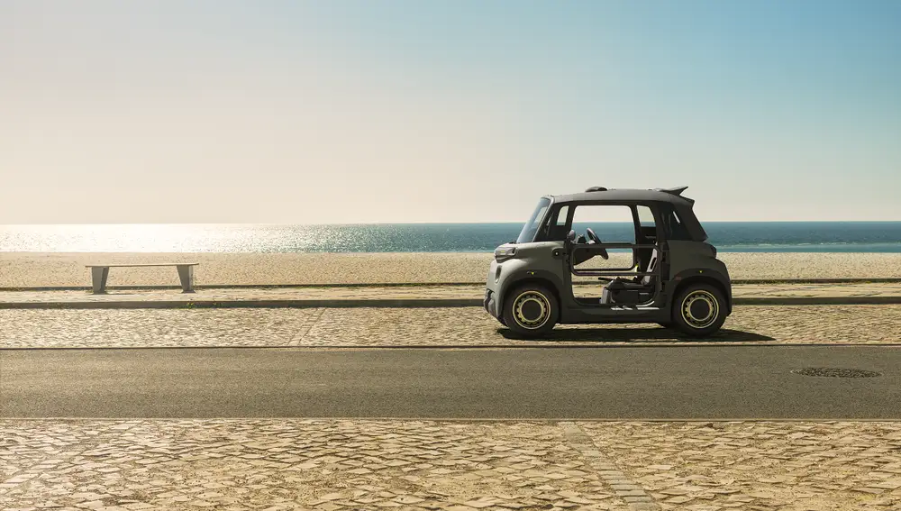 AMI Buggy