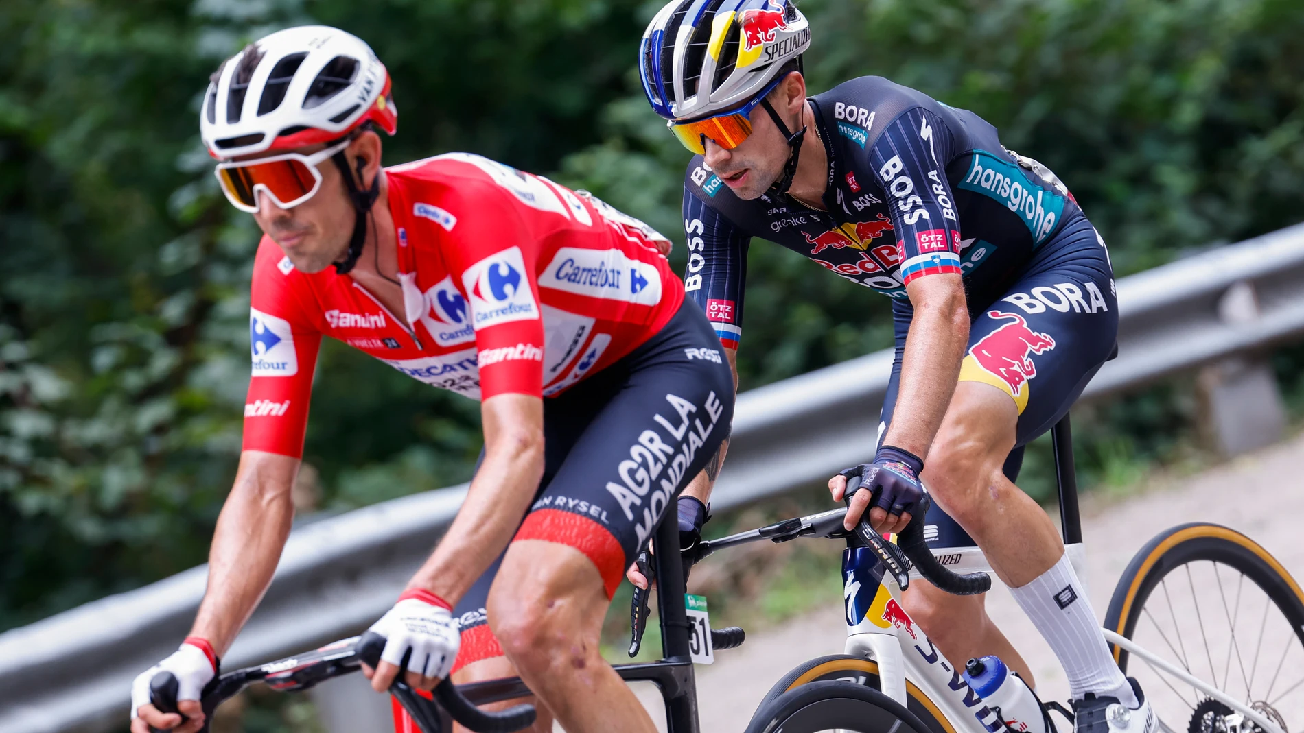 CUITU NEGRU (ASTURIAS), 01/09/2024.- El ciclista australiano del Decathlon y líder de la clasificación general, Ben O'Connor (i) y el esloveno del Red Bull Bora Primoz Roglic durante la decimoquinta etapa de la Vuelta ciclista a España disputada este domingo entre Infiesto y Cuitu Negru, con 143 kilómetros de recorrido. EFE/Javier Lizón