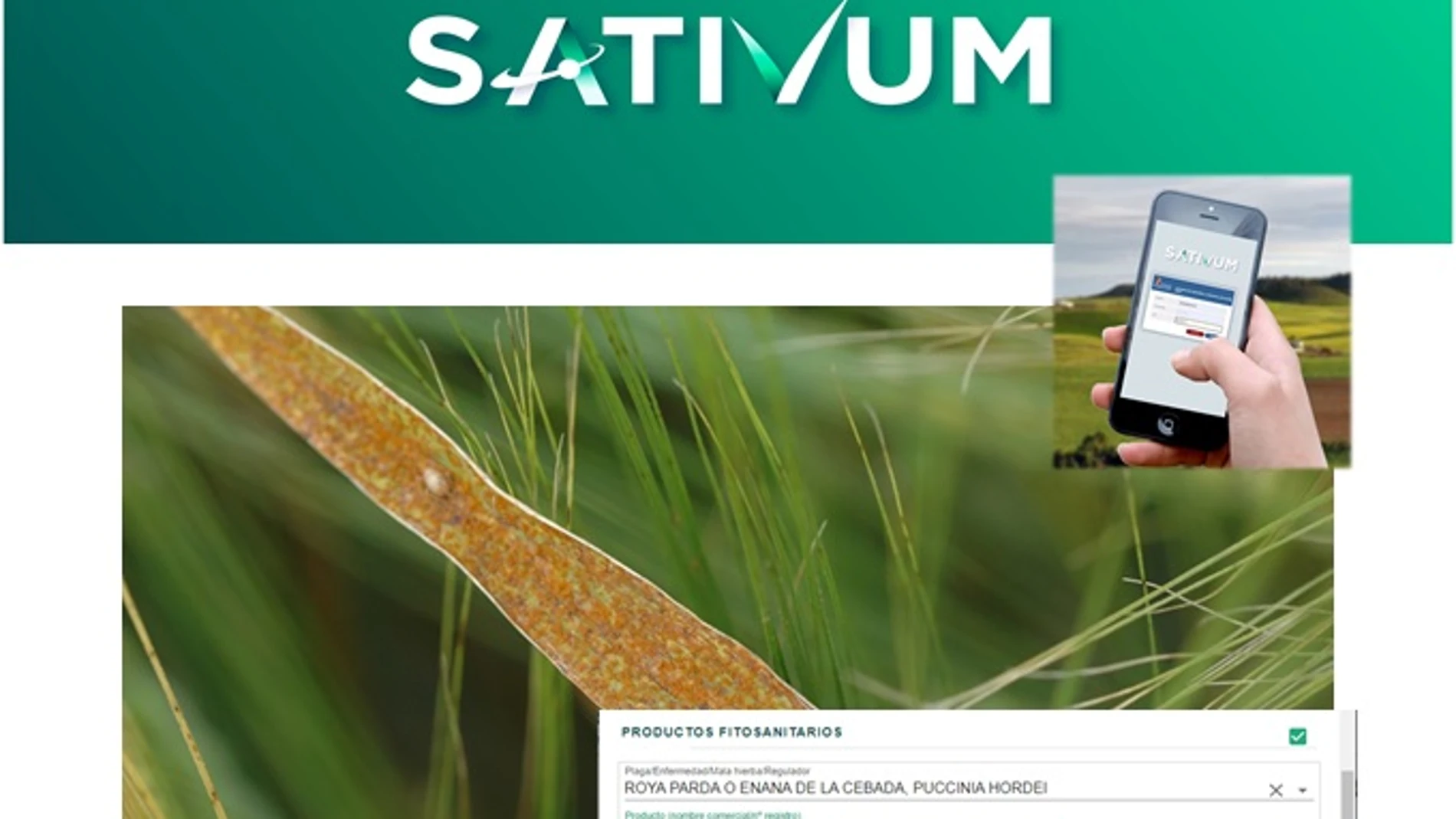 Plataforma 'Sativum' de la Junta