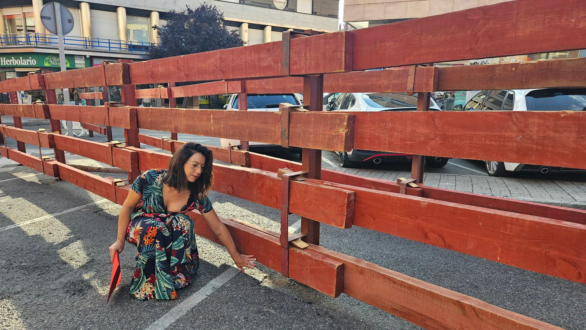 La portavoz del Grupo Municipal Socialista en el Ayuntamiento de Guadalajara, Lucía de Luz
