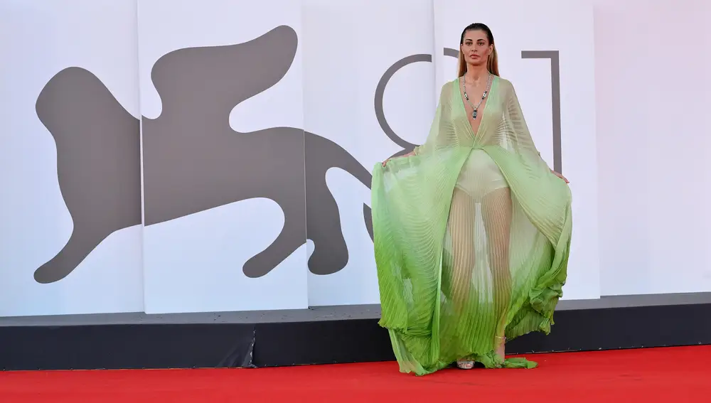 Queer - Red carpet- 81st Venice Film Festival