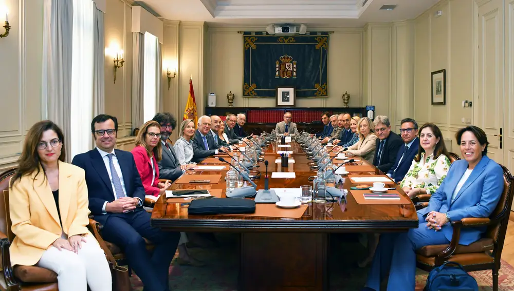 Los vocales del CGPJ, en su reunión de hoy para elegir al presidente de la institución y del Tribunal Supremo