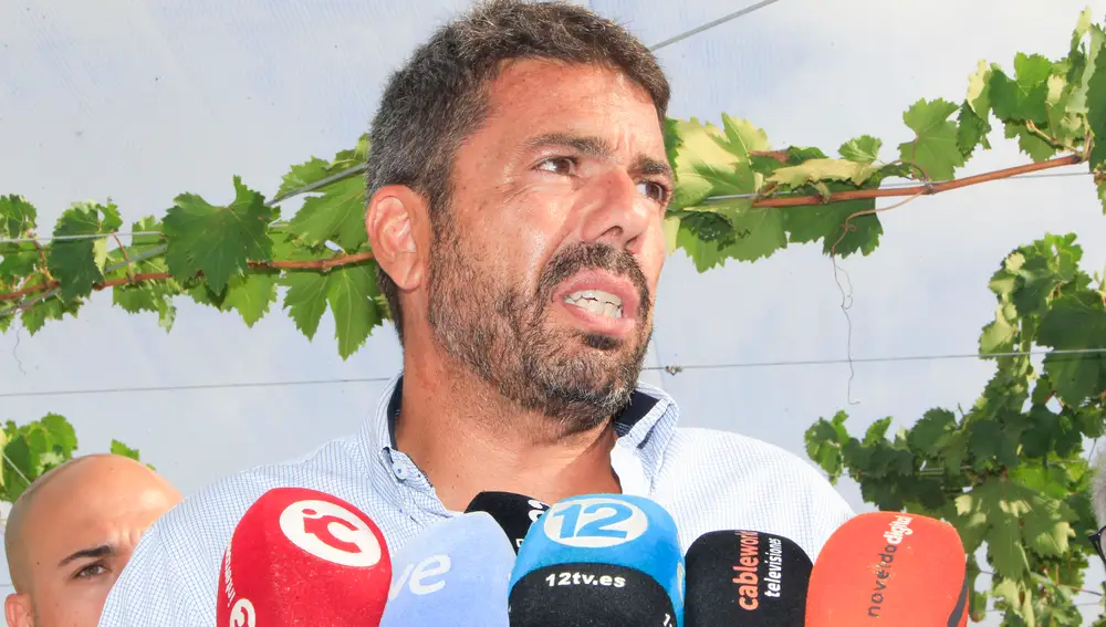 Carlos Mazón asiste al primer corte de la uva embolsada de Vinalopó