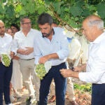 El presidente de la Generalitat, Carlos Mazón, hoy en el corte de la Uva del Vinalopó en Monforte del Cid (Alicante)