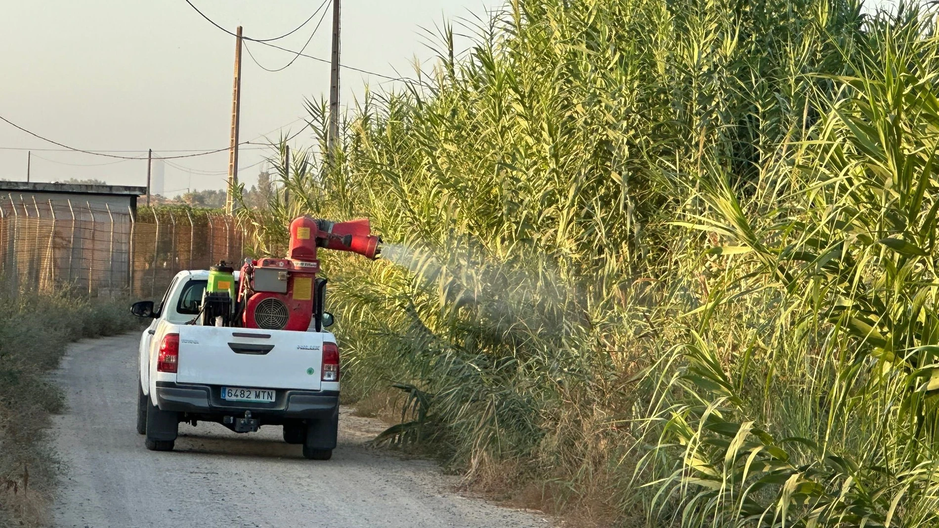 Fumigaciones en la pedanía de Torre de la Reina AYUNTAMIENTO DE GUILLENA 04/09/2024