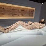 Una imagen de la exposición en Santa Maria del Pi