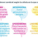 C&aacute;ncer cerebral