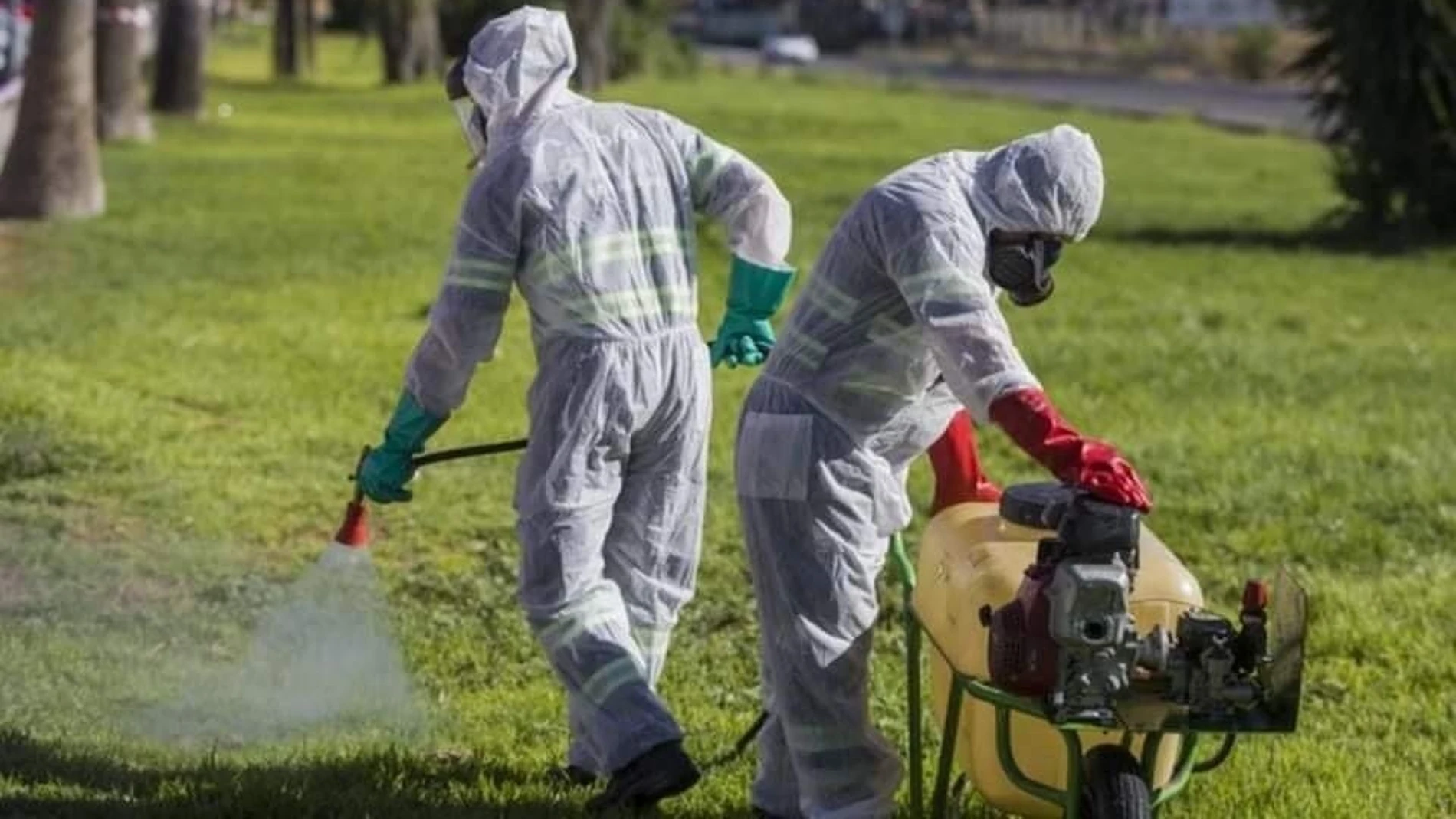 Tareas de fumigación en el Bajo Guadalquivir